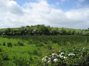 Oakman Hill, Glenavy