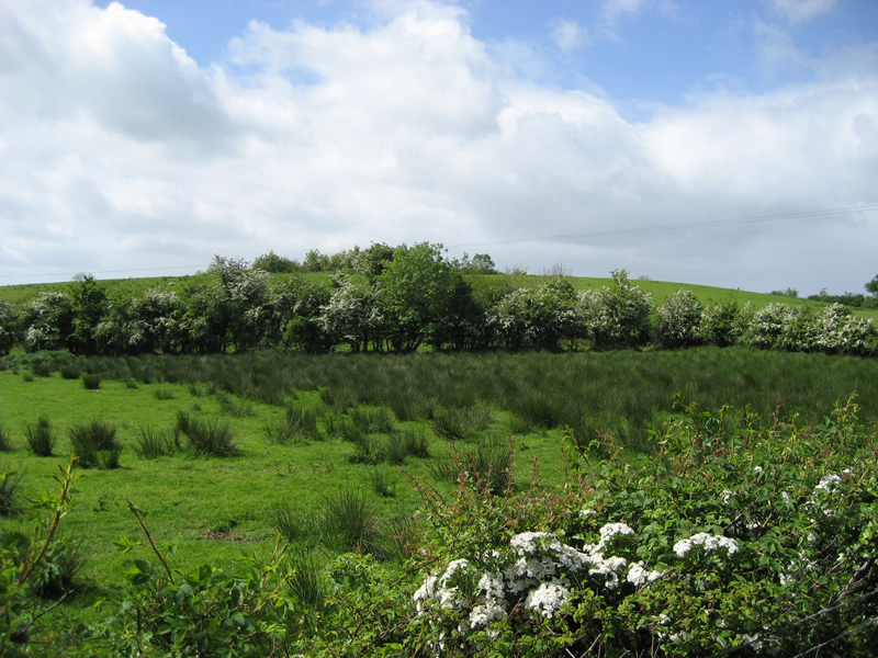 Oakman Hill, Glenavy