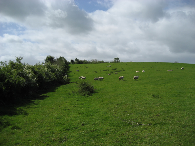 Oakman Hill, Glenavy