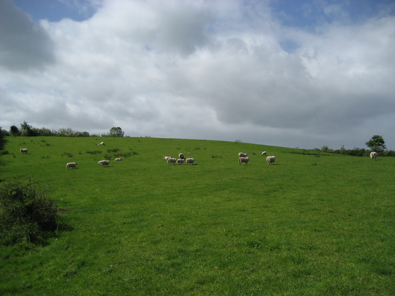 Oakman Hill, Glenavy