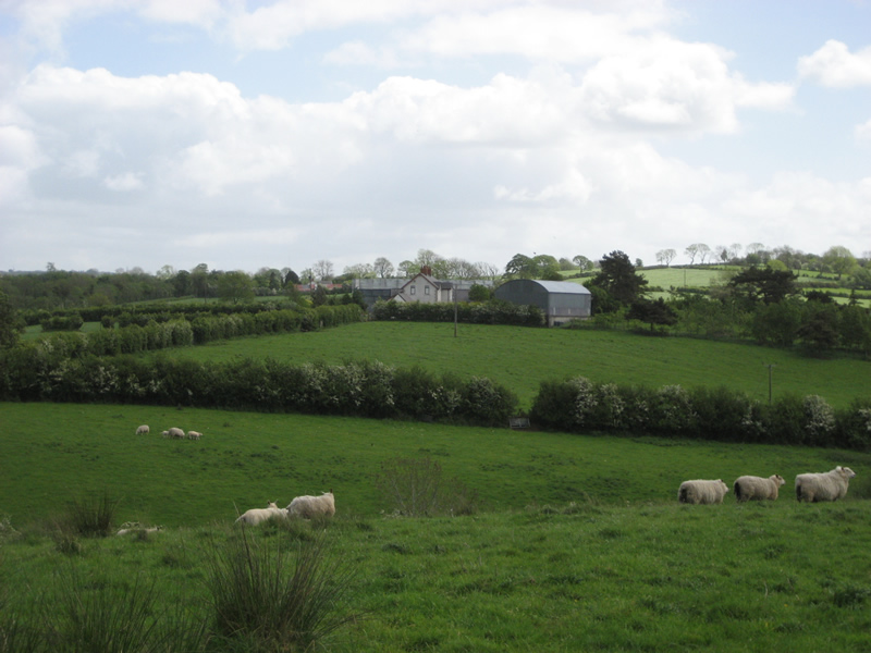 Oakman Hill, Glenavy