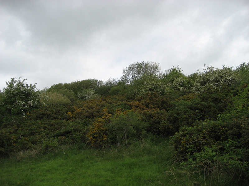 Oakman Hill, Glenavy