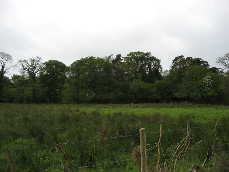 Oakman Hill, Glenavy