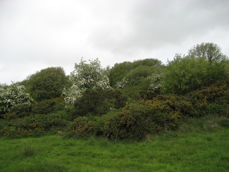 Oakman Hill, Glenavy