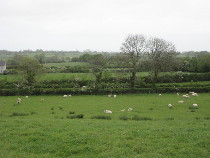 Oakman Hill, Glenavy