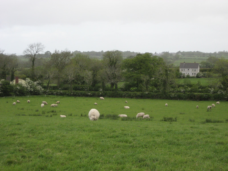 Oakman Hill, Glenavy