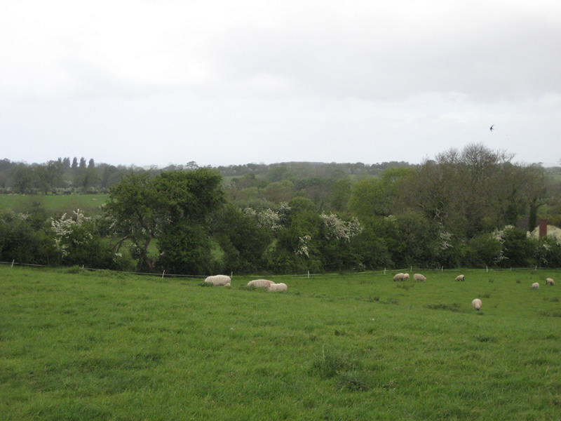 Oakman Hill, Glenavy