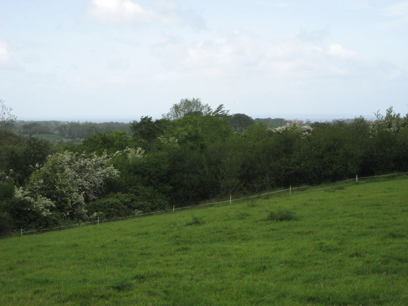 Oakman Hill, Glenavy