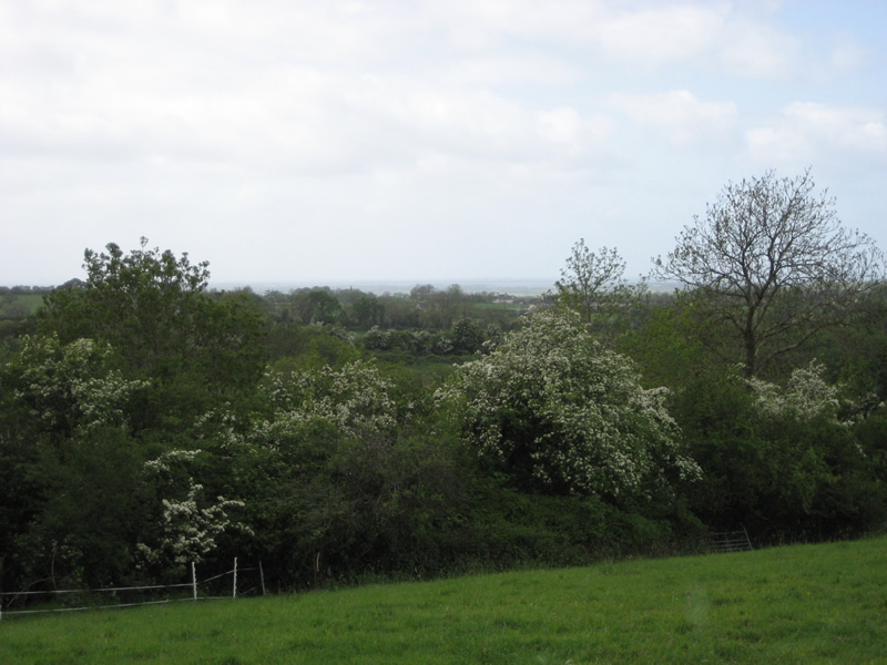 Oakman Hill, Glenavy