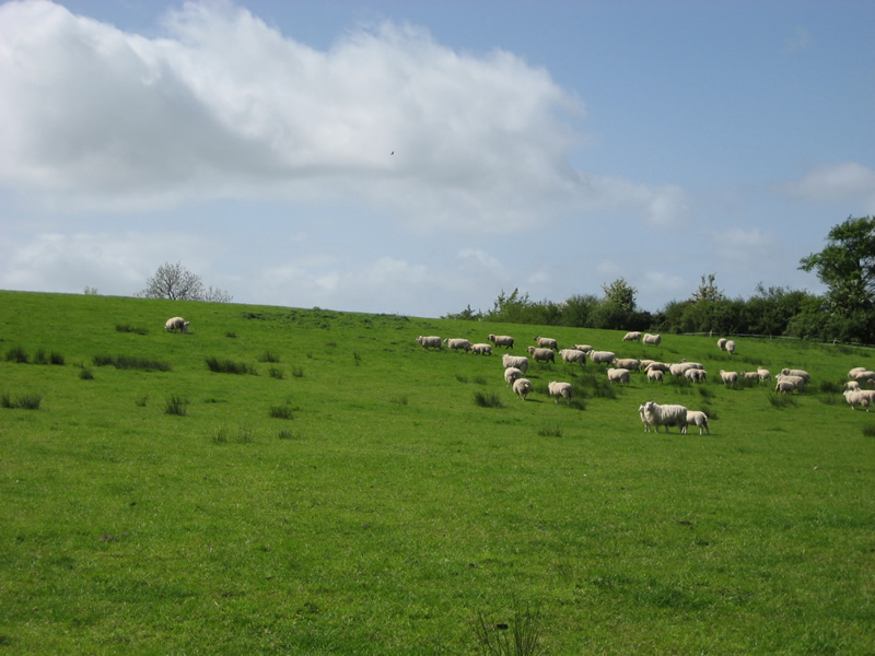 Oakman Hill, Glenavy