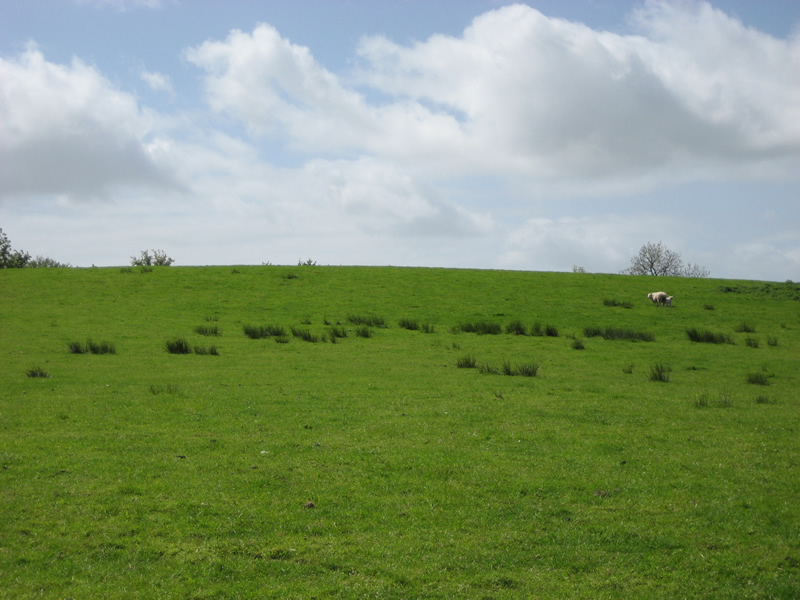 Oakman Hill, Glenavy