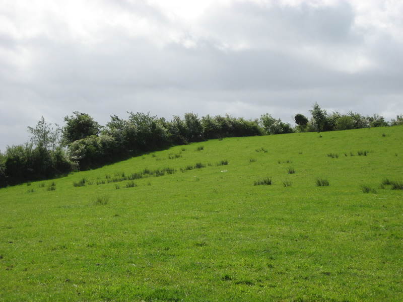 Oakman Hill, Glenavy