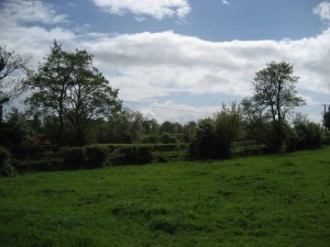 Ballydonaghy